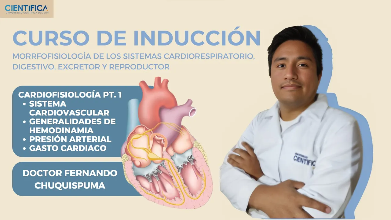 01 - FISIOLOGÍA - CARDIOFISIOLOGÍA 01- CURSO DE INTRODUCCIÓN A LA MORFOFISIOLOGÍA UCSUR 2024