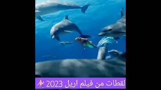 لقطات من فيلم اريل 2023 The Little Mermaid Subscribe Share Explore 