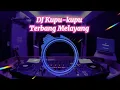 Download Lagu DJ Kupu-kupu terbang melayang@CeritaBercerita90