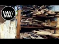 Where to Find Free Or Cheap Lumber