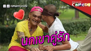 นกเขาคู่รัก รักกันตลอดไป [ น้ำตาลแพง ] | คลิปตลกสุดฮา