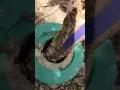 Bait stations are the best option for termite prevention