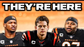 The Cincinnati Bengals Are Ready To Win A Super Bowl 2026 NFL Team s