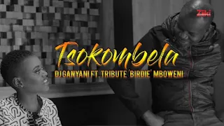 tsokombela by dj ganyani ft tribute birdie mboweni official music video 