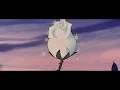 bifty - plum 【﻿ｌｏｆｉ】