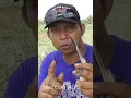 Download Lagu Mikat Cendet Serunya Gk Ketulungan