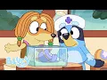 Lagu 🔴 LIVE: Back to School with Bluey | Bluey