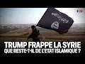Trump frappe la Syrie : que reste-t-il de l'Etat islamique ?｜LCI