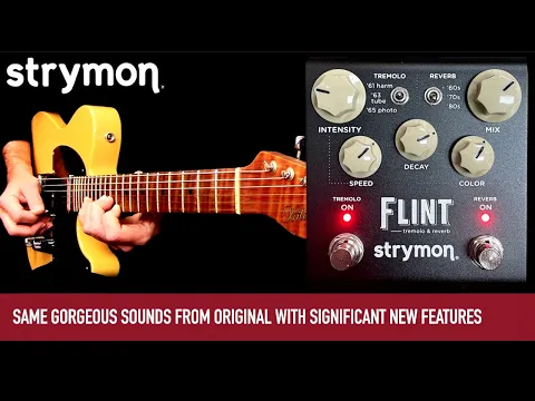 Strymon Flint V2 Tremolo + Spring Reverb | Delicious Audio