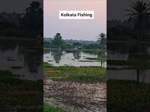 Kolkata Fishing Most Beautiful Free Fishing Sopt