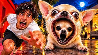 OUR DOG HAS A SECOND FACE?! 😱 (3AM)