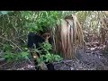 Blind Creek Trailer