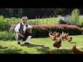 Takeo Ischi / Ishii / 石井健雄 - New Bibi Hendl (Chicken Yodeling) Original
