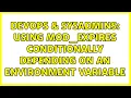 DevOps SysAdmins Using mod - expires conditionally depending on an environment variable