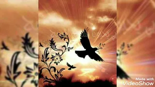 روح الله نحن نسأل عزف وترنيم الأخ هلال سالم الكرملي 