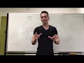 Gram Positive ve vs Gram Negative -ve Bacteria
