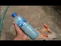 Racun Rayap TIGA kali lebih ampuh!! Rayap langsung MAMPUS !! Buat racun rayap paling ampuh