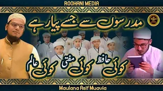 koi hafiz koi mufti maulana asif muavia madarso se jise pyar he madrasah