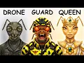 POV Your Life as Every Rank in a BEE Colony