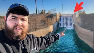 I Dropped LIVE BAIT Below The Spillway & Caught This!