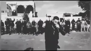 شيلة السويداء دار الكرام   دندنها