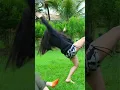 Download Lagu O PIOR TOMBO DA MINHA VIDA!