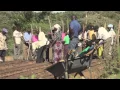 Healing Hands International - WHO WE ARE