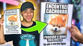 FINGI ENCONTRAR CACHORRO DE 10 MIL REIAS PRA VER QUANTOS MENTIROSOS LIGAM!!!