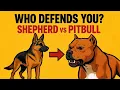 German Shepherd vs Pitbull - Who Would Defend You to the End