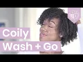 Best Wash and Go Ever On Coily Hair 4B Hair - The CurlMix Method