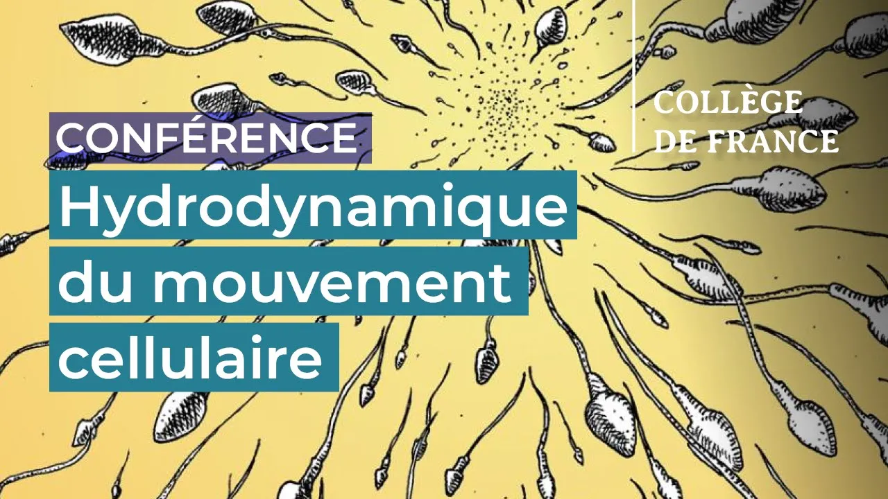 Eric Lauga (1) - Jean-François Joanny (2021-2022)