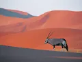 Hoobastank Running Away (acoustic)