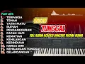 ORGEN TUNGGAL DANDGUT FULL ALBUM RHOMA IRAMA HITS 2025