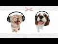 Download Lagu Cute/Happy/Silly edit audios!! + Timestamps in desc (500!!! 🎉🎉)