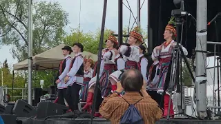                                                                       دندنها