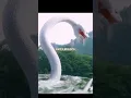 Download Lagu GIANT SNAKE 🐍 WANTED TO EAT HER 😥 LEGEND OF WHITE SNAKE ⚡🔥 CDRAMA #snake #shorts #legend