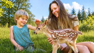 Someone Left a Baby Deer at Our House