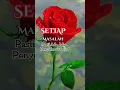 Lagu Bunga mawar merah