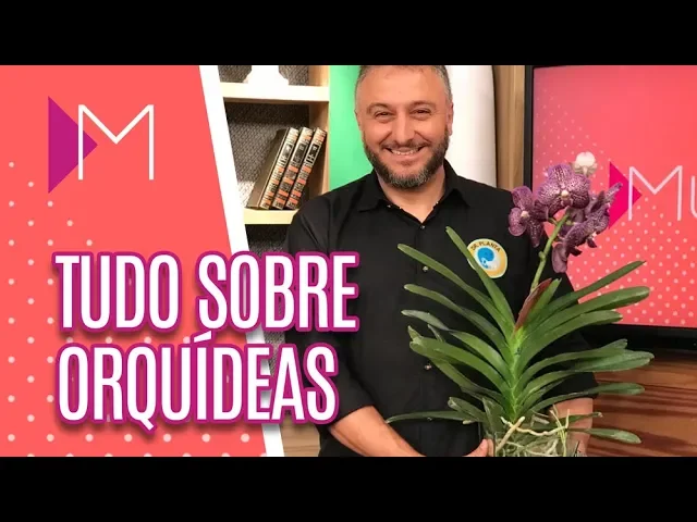 COMO CUIDAR DE ORQUÍDEAS MULHERES (24/05/19)