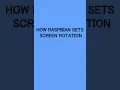 Raspbian settings screen display rotation