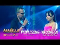 Download Lagu PUPUSING NELONGSO - Septi Ayu Feat Danu - ARABELLA Music - PINTU RISKI Audio - Live Mranggen Demak