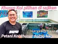 Download Lagu di siapkan koi pilihan semua untuk bos bosku‼️buruan‼️petani khusus hikari