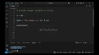 Include Integer variable in a string in Python - Tiny Lessons