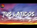 🎵 Calibre 50 - Tus Latidos (Letra\Lyrics)