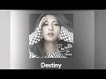 Che'nelle(シェネル)   Destiny