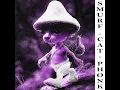 SMURF CAT PHONK (SLOWED + REVERB) [WE LIVE WE LOVE WE LIE] (Live) - qwertyz
