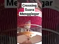 Download Lagu #shorts perkutut crossing suara mengglegar