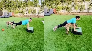 prity zinta doing gym and playing with her dog at home to stay fit and safe