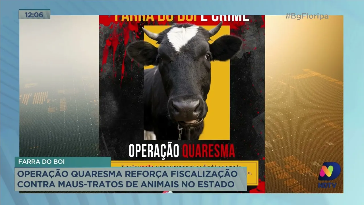 Operação quaresma reforça fiscalização contra maus-tratos de animais em Santa Catarina.