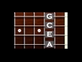 Download Lagu Uke Tuner